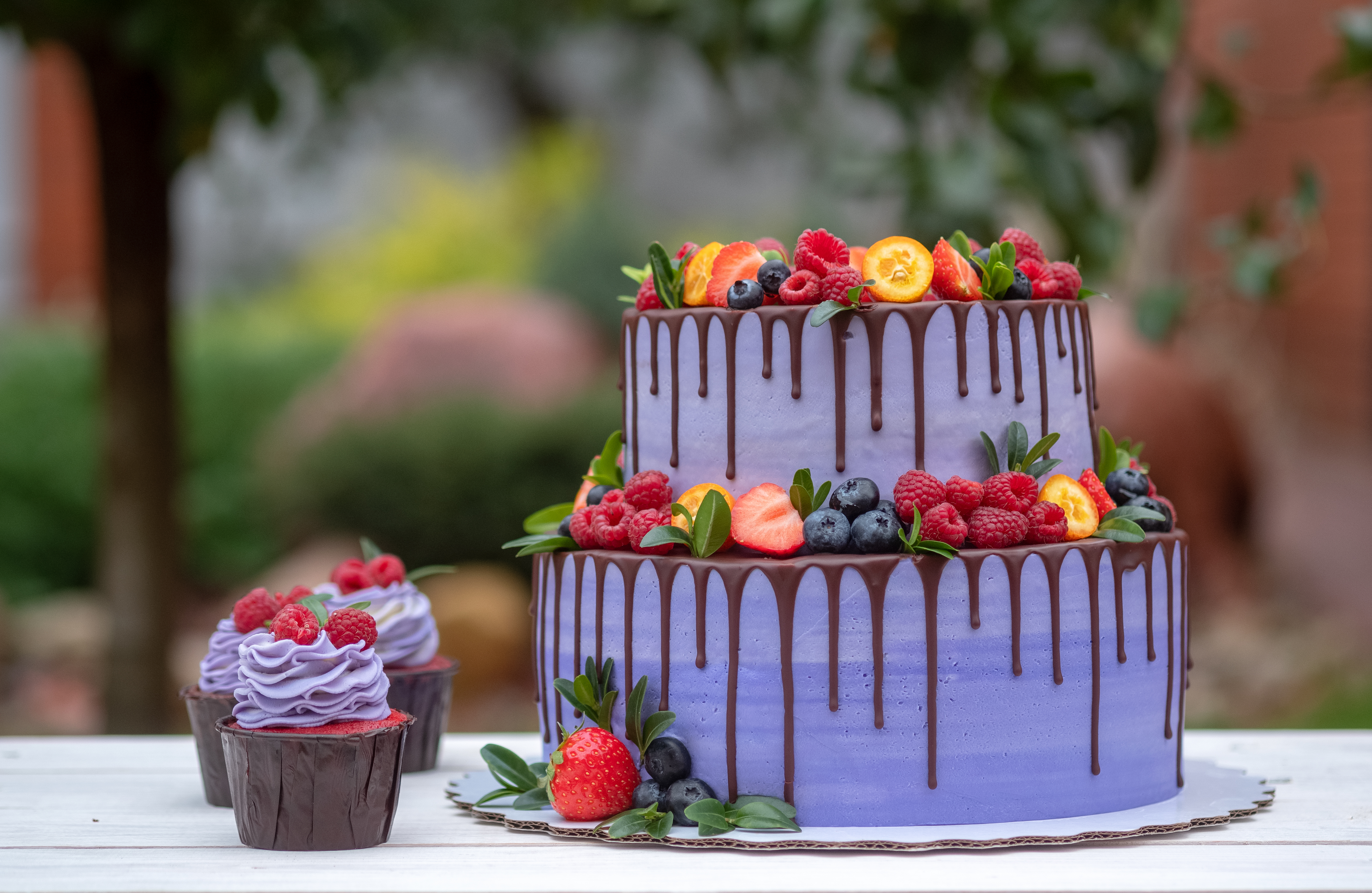 Faszination Kuchen
